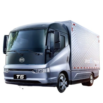 판매 챔피언 중국산 순수 전기 200KM BYD T5D 박스 물류 차량