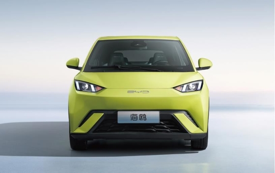 BYD 퓨어 전기 305KM 컴팩트 패밀리 자동차