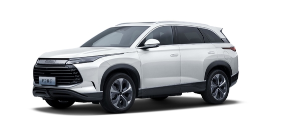 BYD 하이브리드 175KM 사륜 구동 중형 도시 SUV 함정 07
