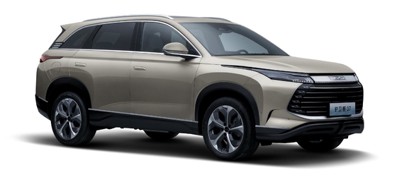 BYD 하이브리드 175KM 사륜 구동 중형 도시 SUV 함정 07