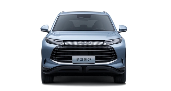 BYD 하이브리드 175KM 사륜 구동 중형 도시 SUV 함정 07