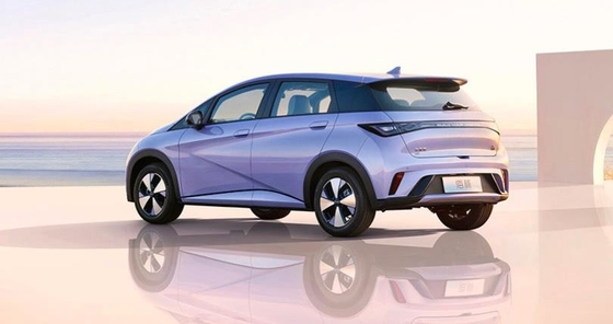 BYD 퓨어 전기 레인지 401KM 컴팩트 인기 홈 자동차 돌고래