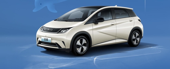 BYD 퓨어 전기 레인지 401KM 컴팩트 인기 홈 자동차 돌고래