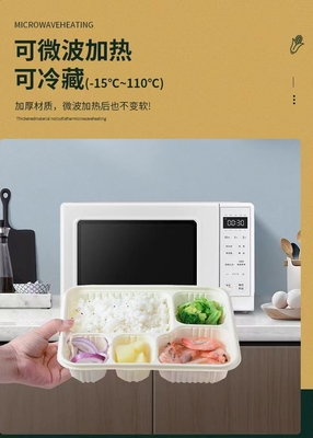 부패, 환경 보호, 건강 및 안전, 일회용 점심 상자