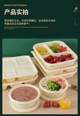부패, 환경 보호, 건강 및 안전, 일회용 점심 상자