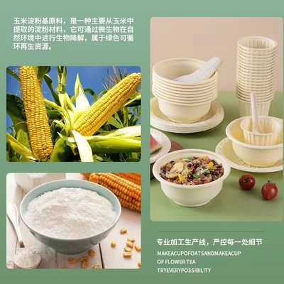 부패, 환경 보호, 건강 및 안전, 일회용 점심 상자