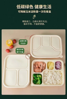 부패, 환경 보호, 건강 및 안전, 일회용 점심 상자