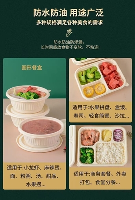 부패, 환경 보호, 건강 및 안전, 일회용 점심 상자