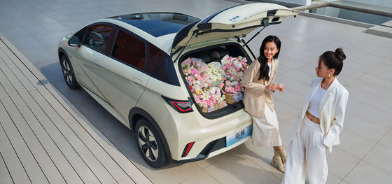 1.5L 배기량 BYD 씰06 DM-i 120KM 리딩 에디션