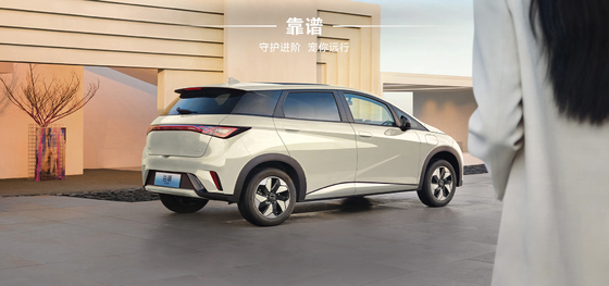 BYD 2025 돌고래 520km 나이트 에디션 EV