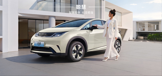 BYD 2025 돌고래 520km 나이트 에디션 EV