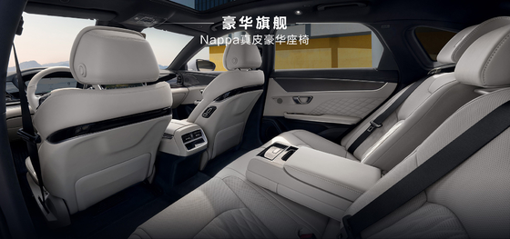 BYD 한 DMM-121KMMS 파이오니어 오너 에디션