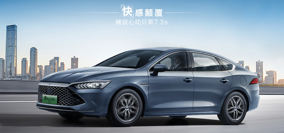 BYD 퀸 플러스 DMI 102km 리딩 글로리 에디션