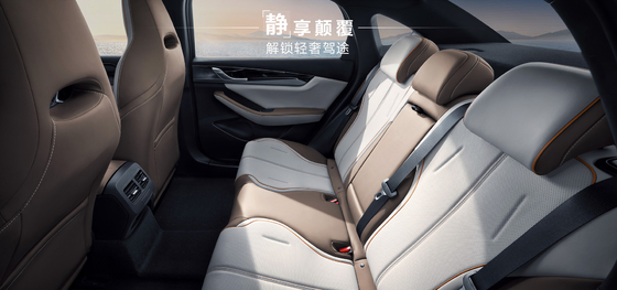 BYD 퀸 더하기 DMIi 55km 리딩 에디션