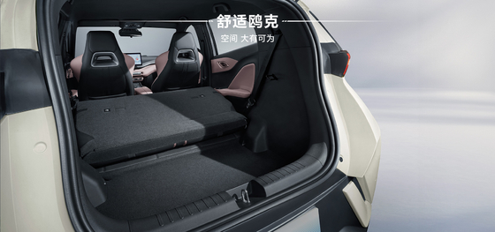 2025 BYD 하이우 305KM
