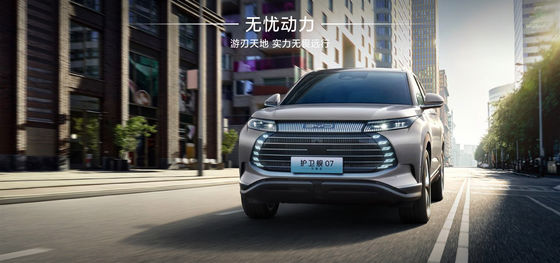 BYD 함정07 100km 엘리트 타입