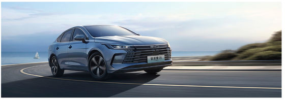 BYD 디스트로이어 05 DMI 120km 고급판