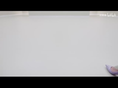 2025 420km 돌고래 액티브 에디션 EV